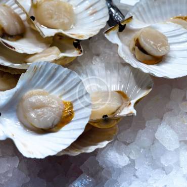 A safe way to exotic seafood tasting